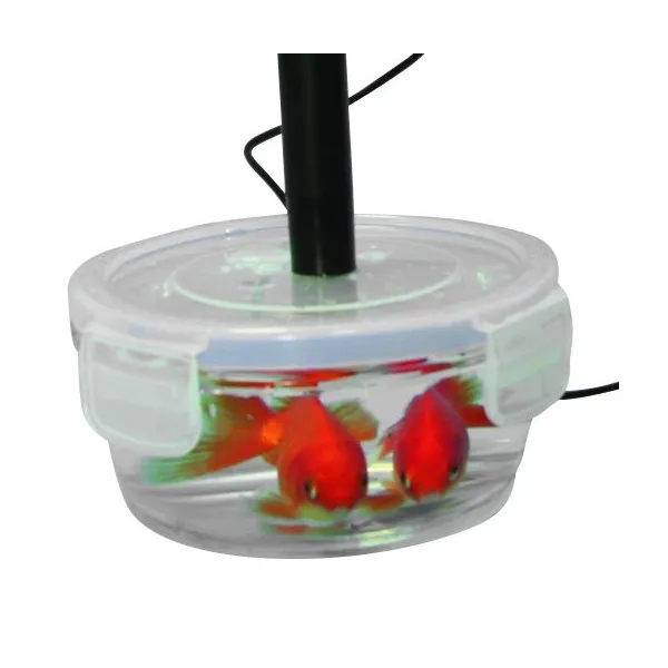 330008-poisson-oxymetre-optique-air-eau-plug-uino-mesure-de-l-oxygene-dissous-et-de-l-air-sonodis-sciencethic.webp