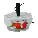 330008-poisson-oxymetre-optique-air-eau-plug-uino-mesure-de-l-oxygene-dissous-et-de-l-air-sonodis-sciencethic.webp