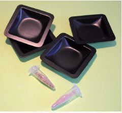 Kit de TP : Passage Crétacé-Tertiaire