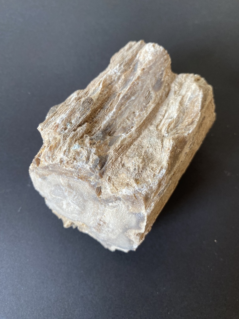 Bois silicifie (lot de 5)