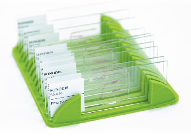 Egouttoir pour 25 lames microscopiques