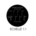 jeton-cercle-fentes-de-young-s69774-sonodis-sciencethic