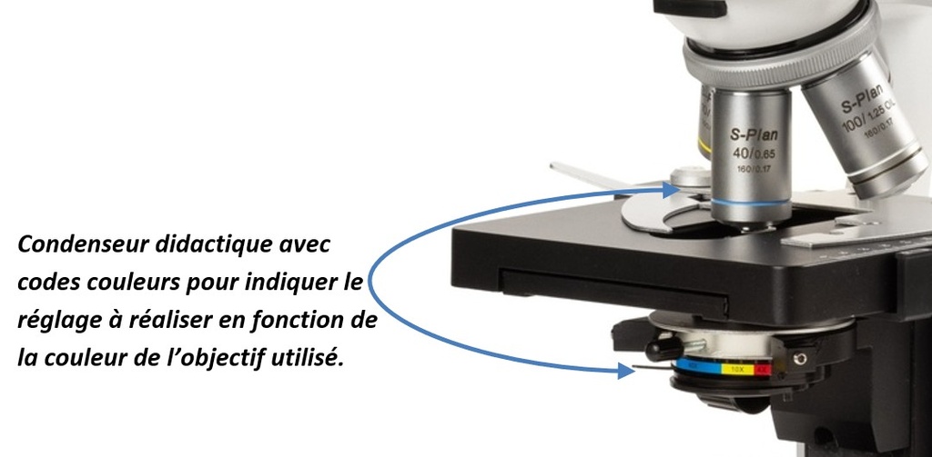 Microscope binoculaire semi-plan BlueScope