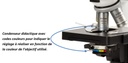 Microscope binoculaire semi-plan BlueScope