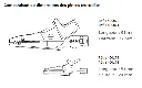 schema-comparaison-de-dimension-des-pinces-crocodiles-sonodis-sciencethic.webp