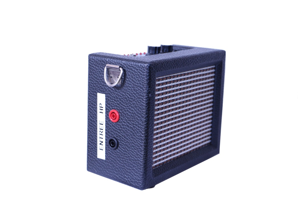 Ampli micro 1 W avec haut parleur dans Boîtier avec douille 4 mm