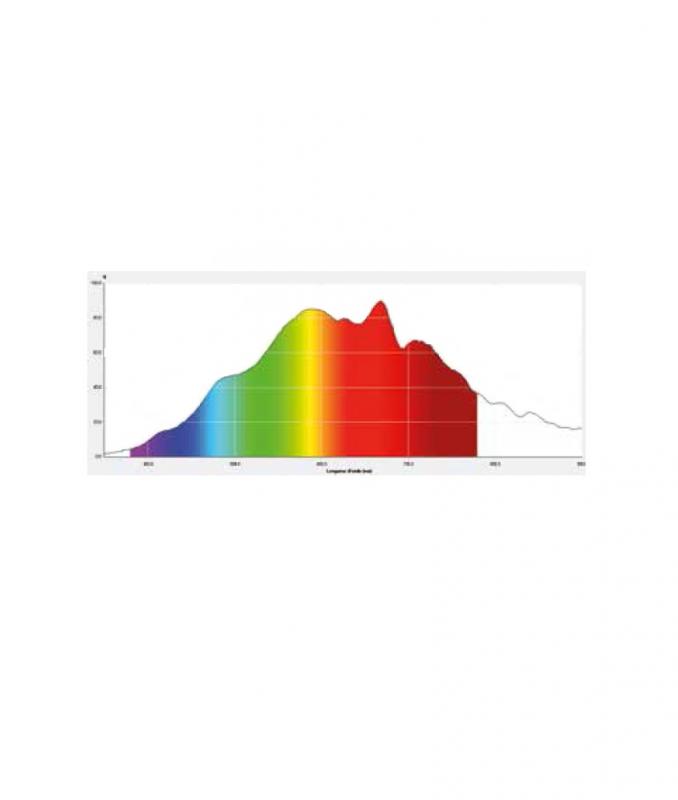 Spectromètre à fibre optique SPID 