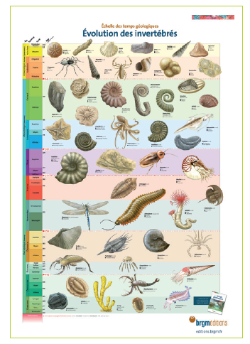 Collection 3 posters temps géologiques