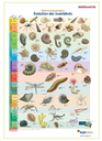 Collection 3 posters temps géologiques