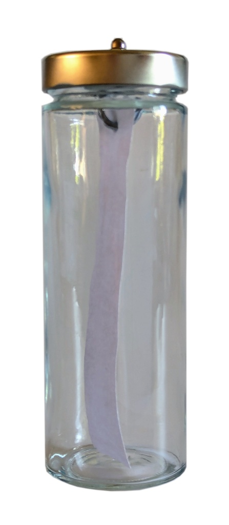Enceinte pour chromatographie CCM