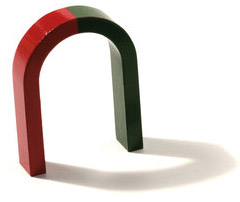 Aimant fer à cheval 50x40 mm