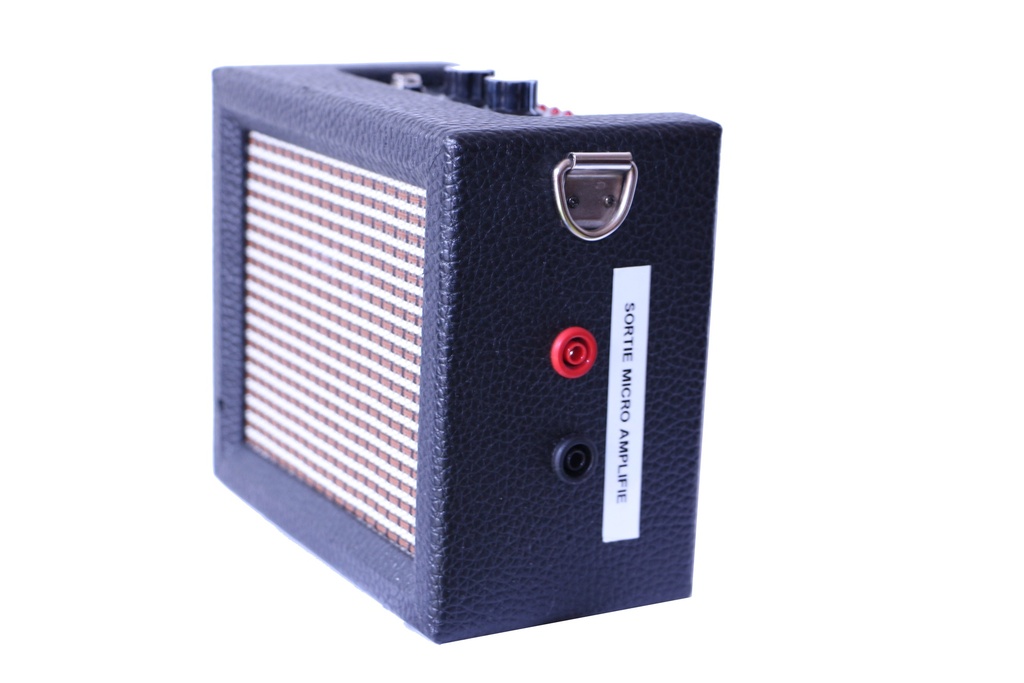Ampli micro 1 W avec haut parleur dans Boîtier avec douille 4 mm