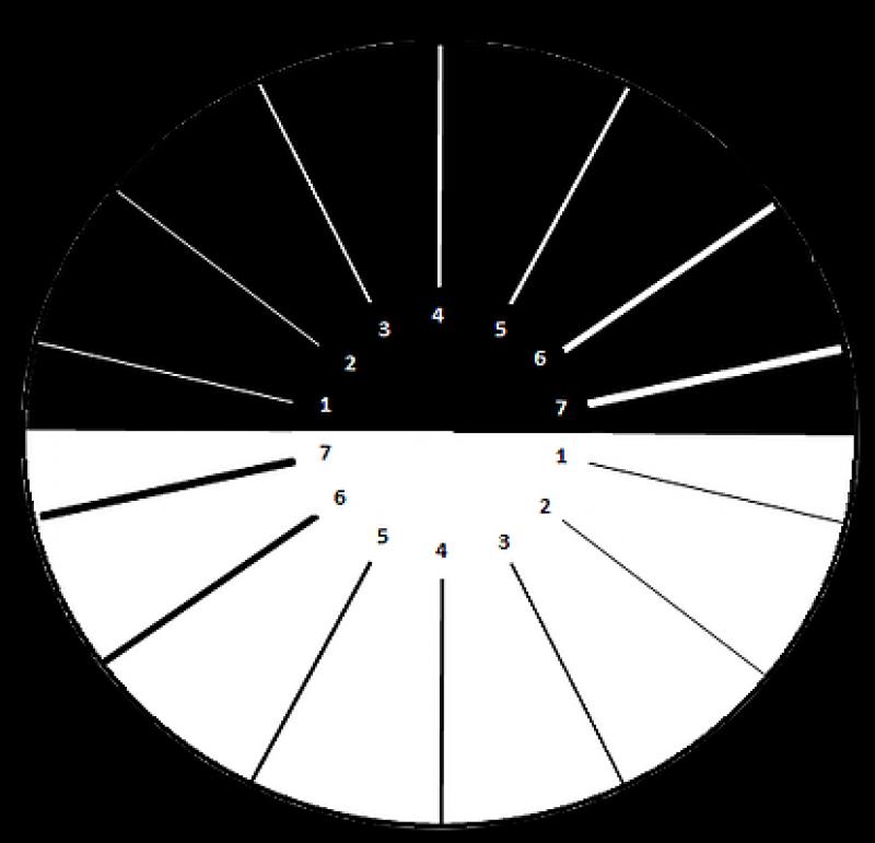 Fentes et fils radial 