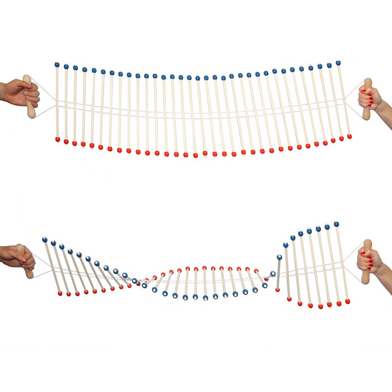 Échelle de perroquet manuelle