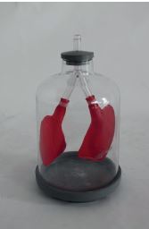 Maquette ventilation pulmonaire