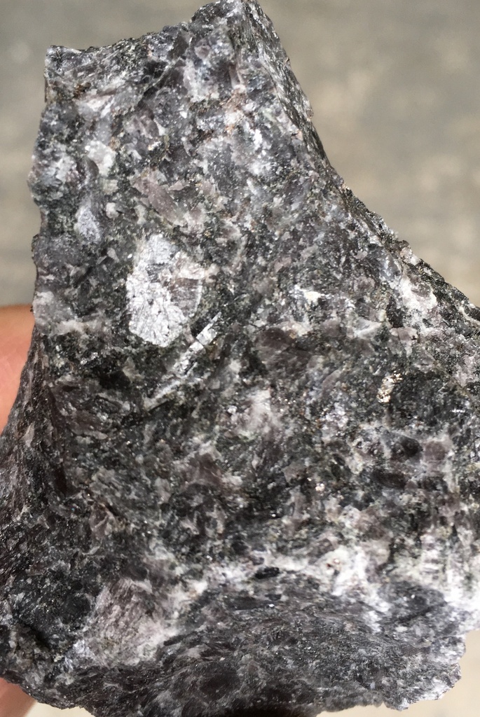 Échantillons de roche métamorphique : Métagabbro à hornblende (lot de 12)
