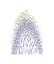 Préparation microscopique: Vanda racine CT