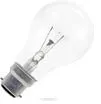 Ampoule tungstène B22 - 24 V