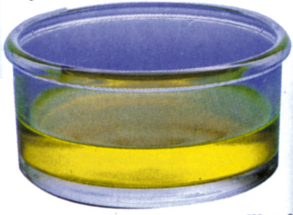 Cristallisoir à cordeline