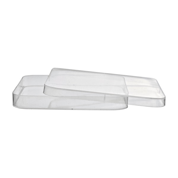 Boîte de pétri carrée 120x120 mm (lot de 10)