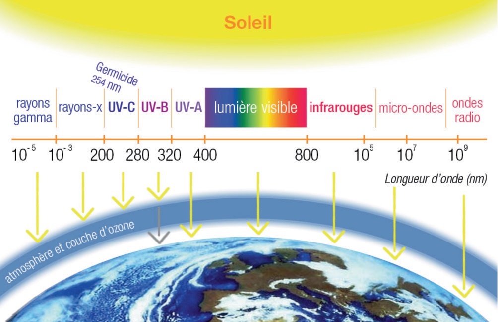 Carte de détection UV (lot de 10)