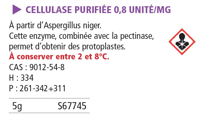 Cellulase purifiée (env. 0.8 unité-mg) 5 g