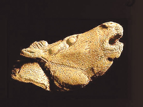 Cheval hennissant