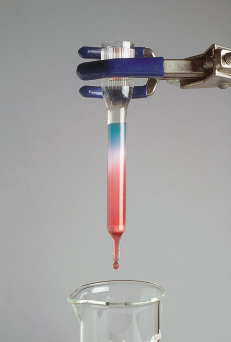 Chromatographie d'échange ionique