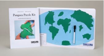 Etude de la Pangée en puzzle
