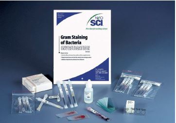 Kit examen de bactéries