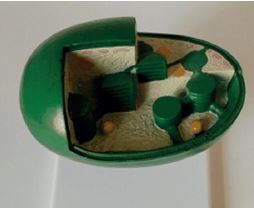 Modèle de chloroplaste