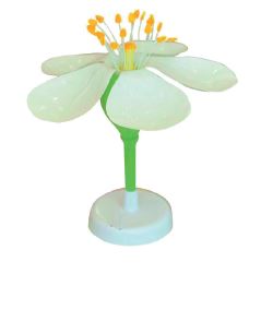 [#020067-S01380] Modèle fleur de pommier