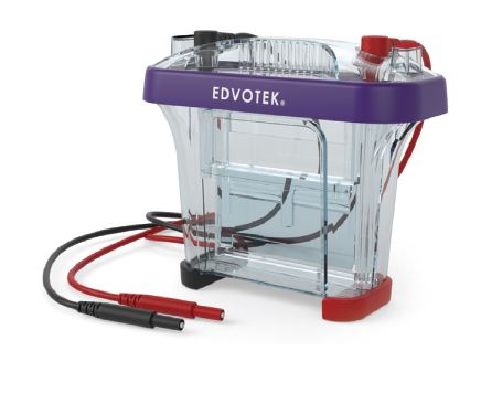 Système électrophorèse vertical MV10 Edvotek