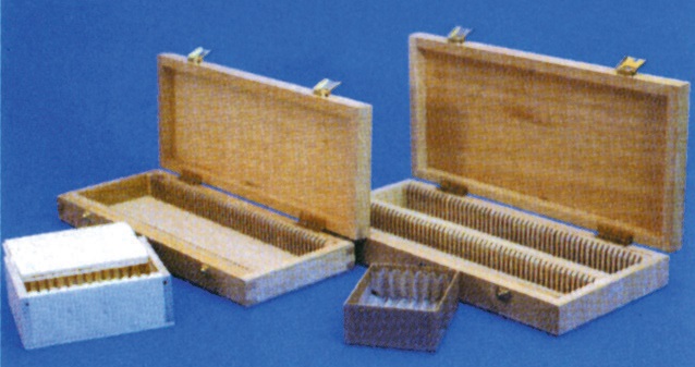 Boîte de stockage en bois pour lames de biologie