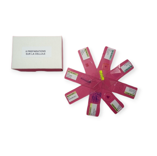 Coffret de 8 préparations microscopiques sur la cellule