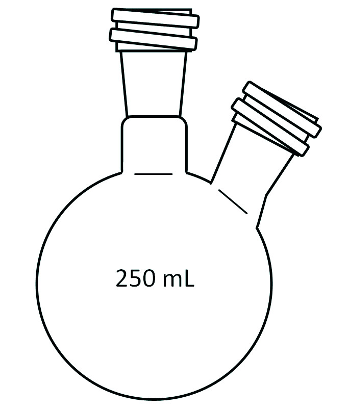 Ballon bicol RODAVISS - 250 mL - Rodage central 24/29 Latéral19/26