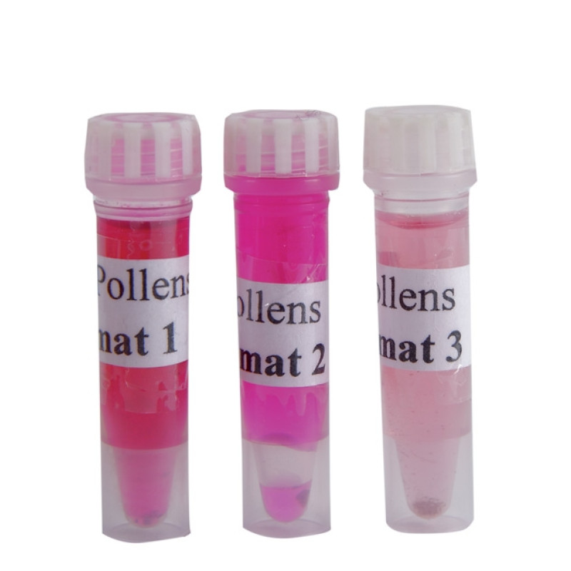 Collection de pollens - 3 climats différents - 3 tubes