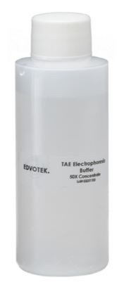 Tampon TAE pH 7,8 pour électrophorèse - 100 mL