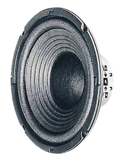 Haut parleur grave boomer 50 W