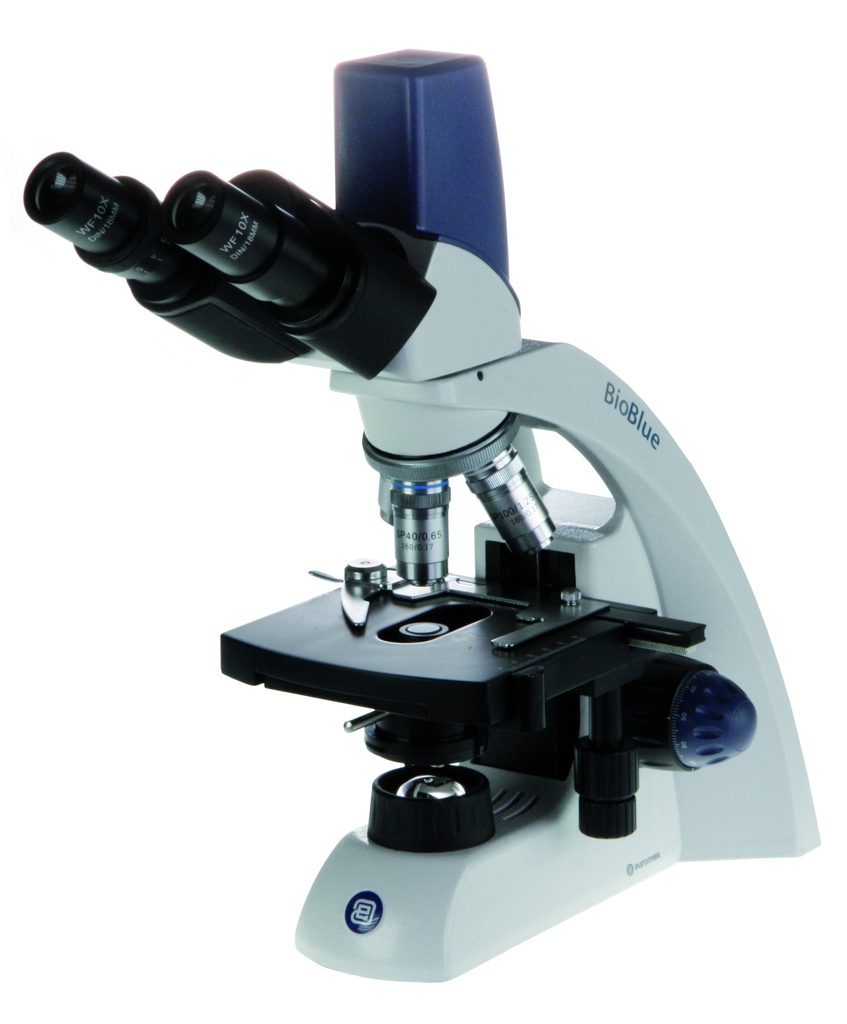 Microscope binoculaire x40 à x1000 - tête vidéo 5 MP - BioBlue Euromex