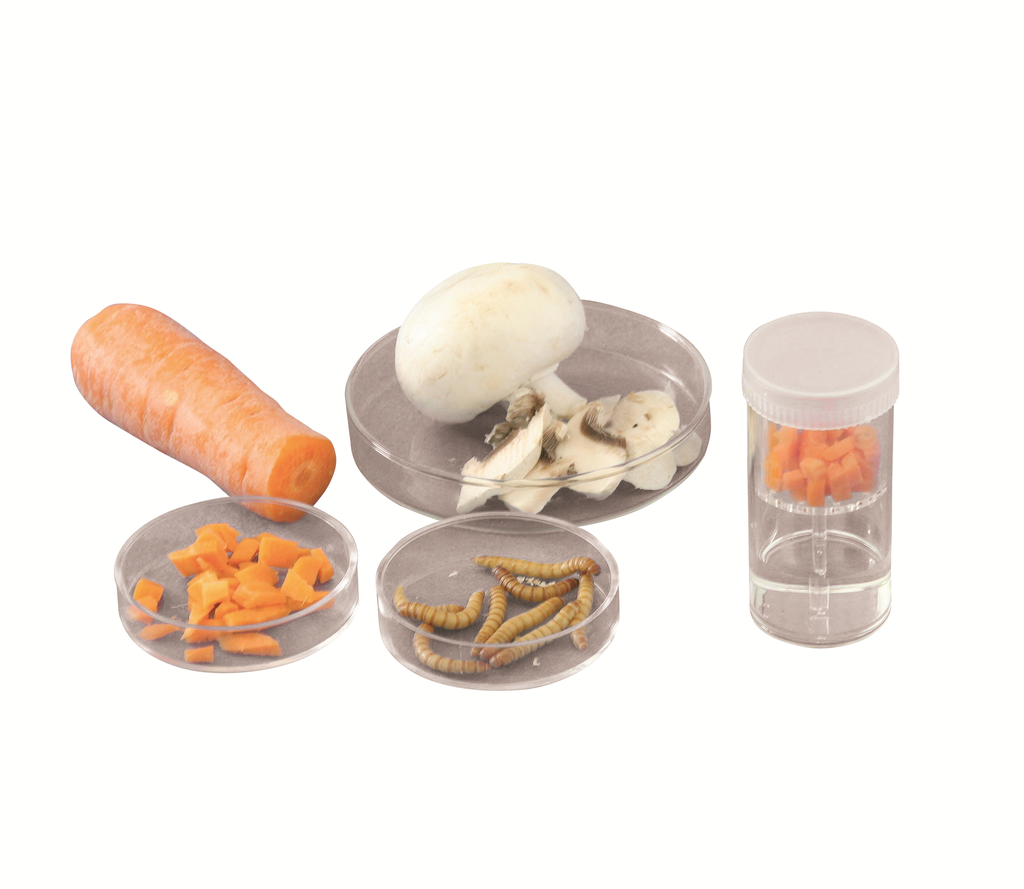 [#022001-S03666] Enceintes mise en évidence de la respiration - Lot de 6