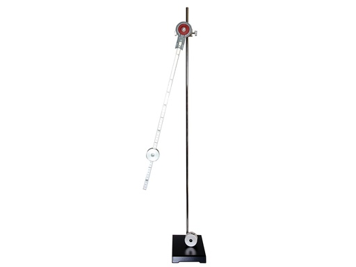 [#002041] Dispositif pendule pesant