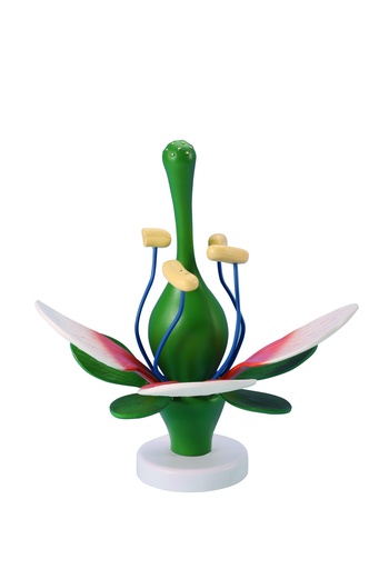 [#020048] Modèle fleur de pêcher grande taille