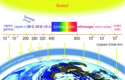 [#023018] Cartes de détection des rayonnements UV (lot de 10)