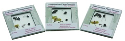 [#024039] Kit association fleur insecte