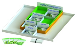 Boîtes pour la classification