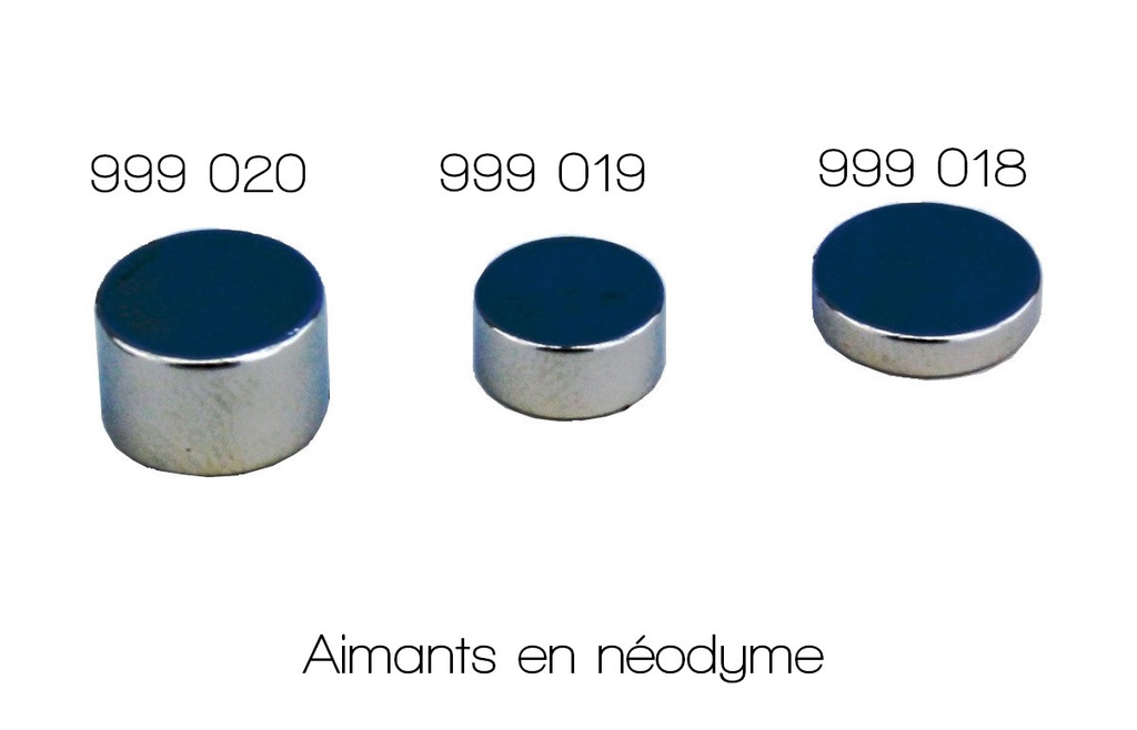 [#999018] Aimant néodyme (Ø x h : 10 x 5 mm)