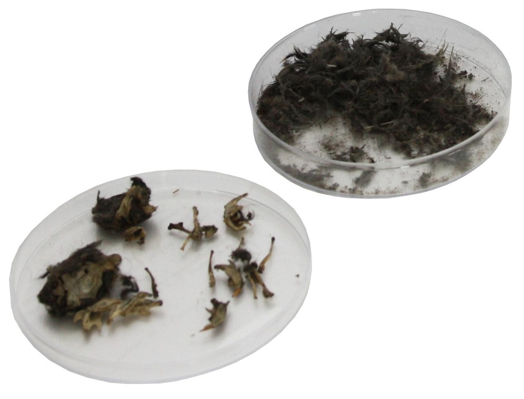 Pelote de réjection