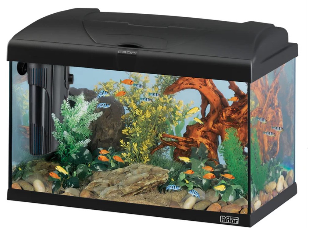 Aquarium 60 L complet 