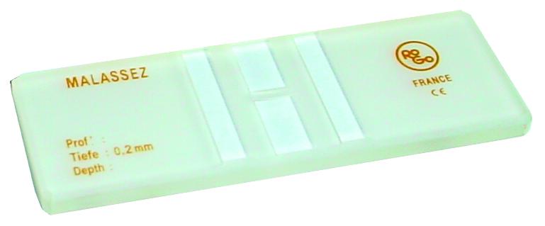 Lamelle planée KNITTEL 